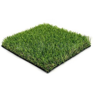 GrassINC. Wicked Plus