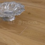 Walczak Dąb S01 L01 - Bezbarwny