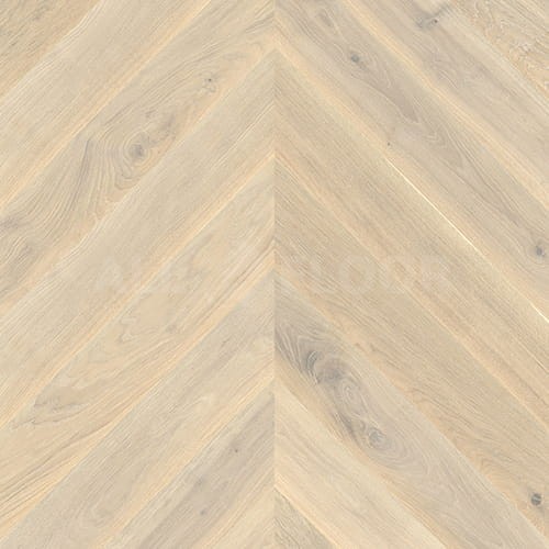 Jawor-Parkiet Chevron Dąb Bianco