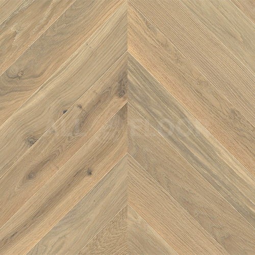 Jawor-Parkiet Chevron Dąb Avorio