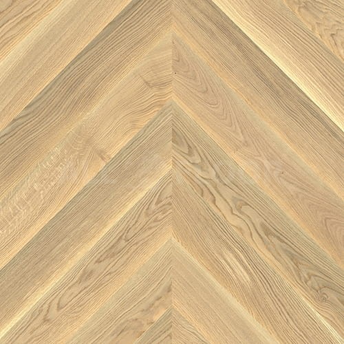 Jawor-Parkiet Chevron Dąb Alabastro