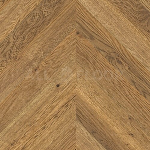 Jawor-Parkiet Chevron Dąb Oro