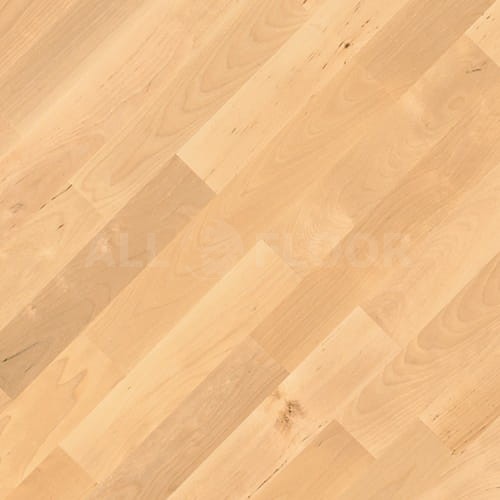 Tarkett Pure Brzoza Tres | 8540002