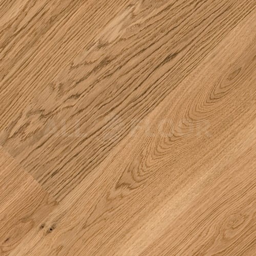Tarkett Pure Dąb Nature Plank XT | 7877028 7877027