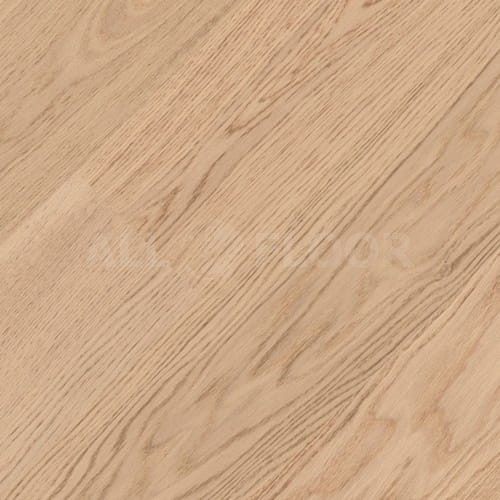 Tarkett Shade Dąb Cream White Plank XT | 7877049