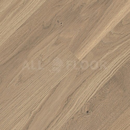 Tarkett Shade Dąb Evening Grey Midiplank  |41016002